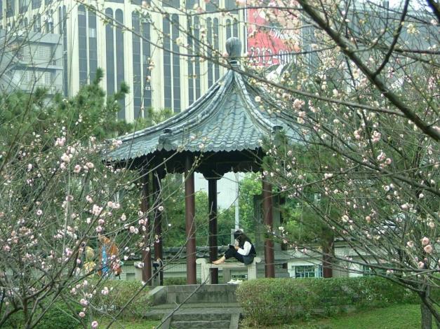 圖4.幽靜的涼亭提供舒適的休憩空間