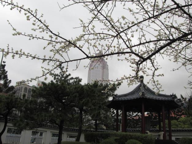 圖3.城市喧鬧角落的寧靜天地