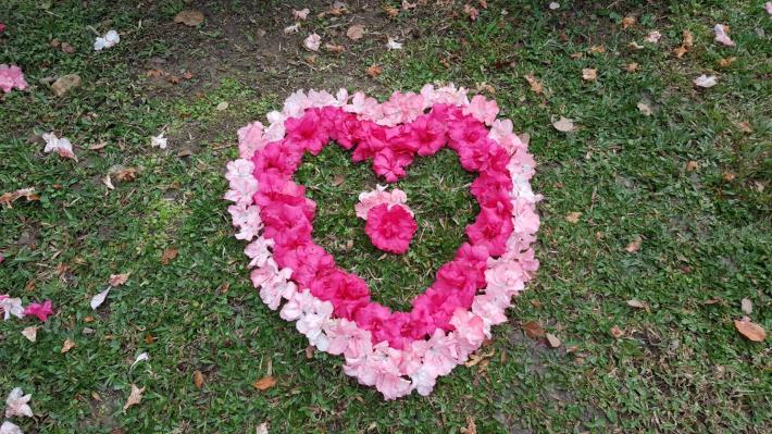 圖17.公園處同仁發揮巧思以凋落花瓣排列而成的杜鵑愛心圖