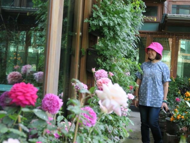 圖13、遊客於天使生活館旁欣賞玫瑰花。