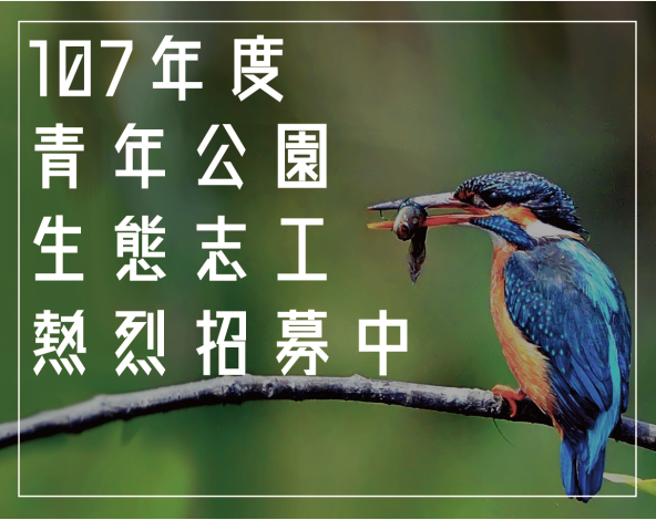 圖1.青年公園志工招募中
