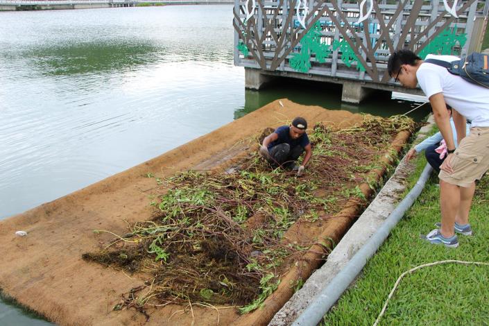 照片8. 浮島第一階段結構完成後，放置水面執行第二階段種植水生植物.JPG