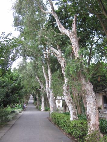 園區中央走道