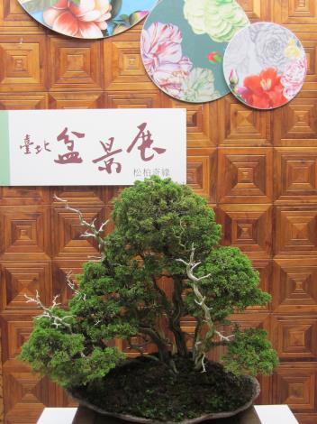 盆景展入口意象