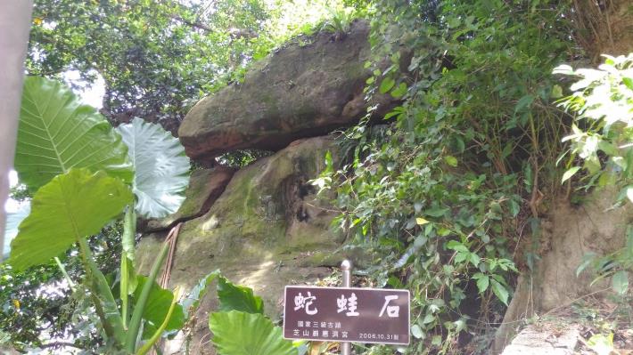 圖7、蛇蛙石