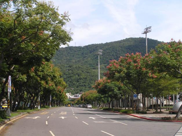 (圖8)青山綠樹與臺灣欒樹吸引眾多市民前往拍攝留下美麗的記錄