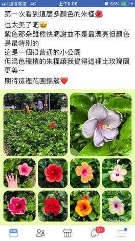 3. FB上有關麗湖綠地的貼文(網友Cubic Lin)