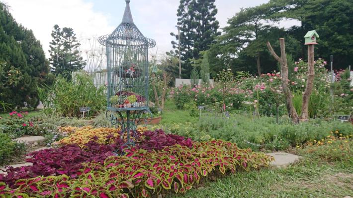 圖6、繽紛的園林造景2