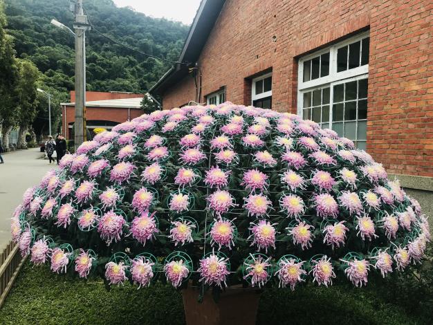 國華之幸