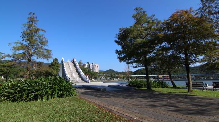 5.大湖公園錦帶橋的西側是池杉，東側是落羽杉。