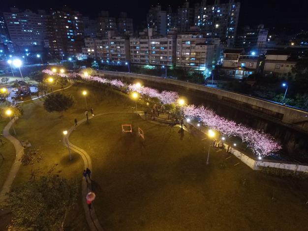 樂活夜櫻空拍(資料照片).JPG