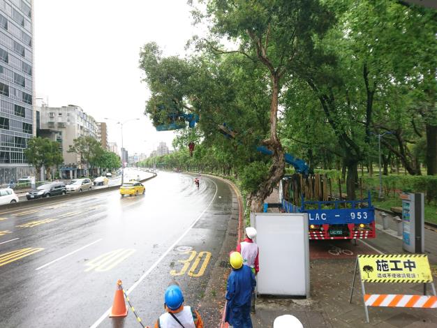 圖6.修剪新生南路側颱風後受損的樹枝，保障人車行的安全-1