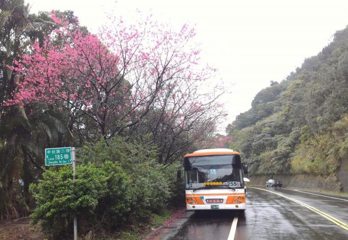(圖9) 「大崙尾山站」是公車的終點，255和棕13公車都要在此迴轉下山