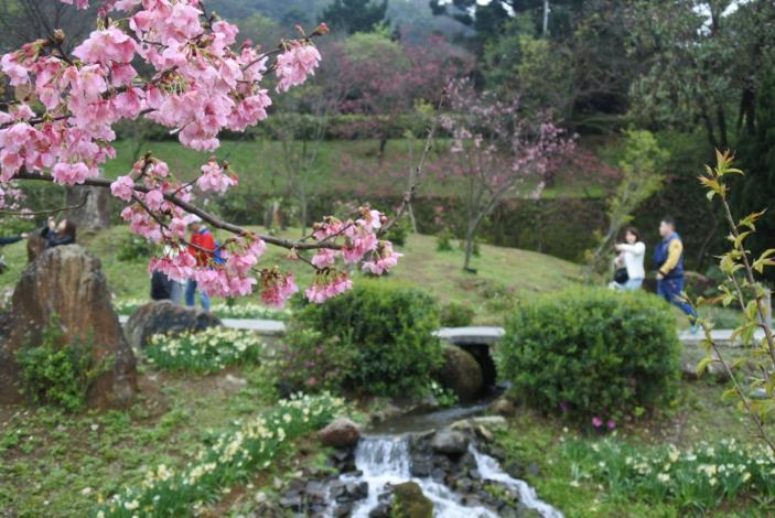 圖4.陽明山花季百花盛開美景