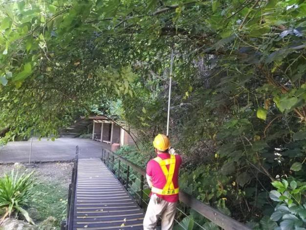 (圖5)修剪轄管區域樹木增加抗風性避免倒伏或斷枝