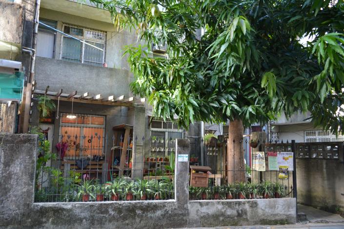 圖7.龍泉宿舍改造成為「芒果香草園」.JPG