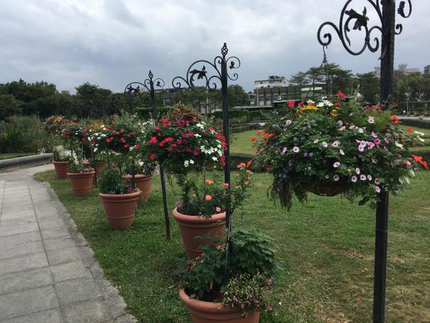 圖7.美麗的花球走道。