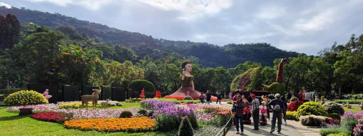 圖7.遊客們駐足欣賞各式菊科花卉