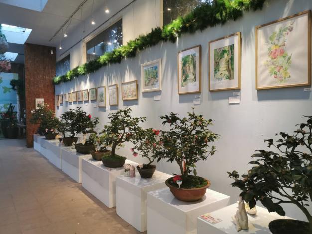 茶花展照片