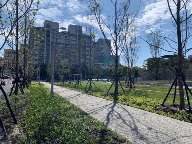 圖4. 栽植楓香樹陣，營造都市森林之感。