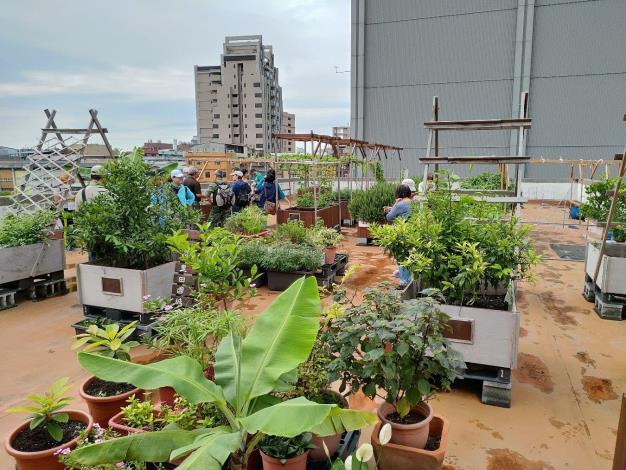3 萬華區雙園里區民活動中心-璞心園綠屋頂