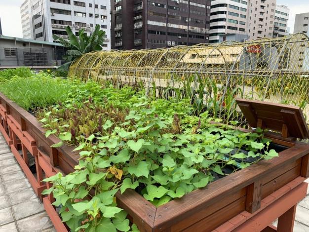 4 臺北市復華長青多元服務中心綠屋頂