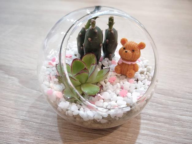 生態瓶(示意圖)