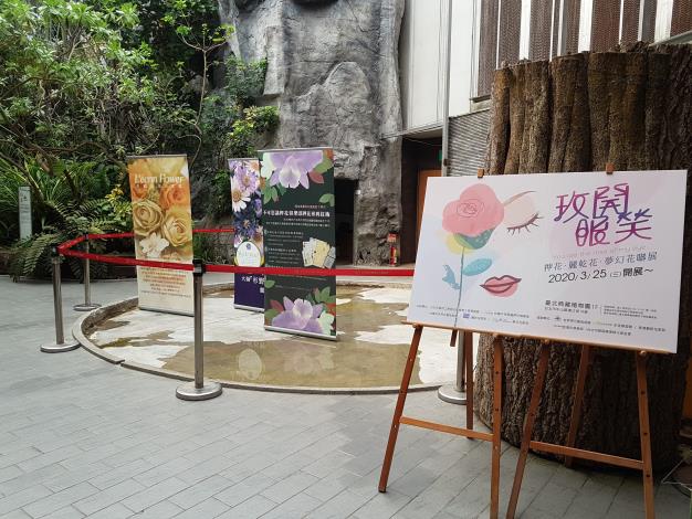 9.10.玫開眼笑壓花特展