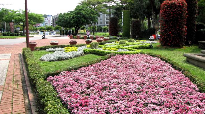 圖6.士林官邸公園入口以五彩石竹、銀葉菊等植栽美化.JPG