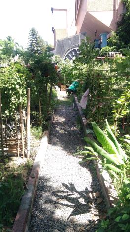 圖8.農園一隅1