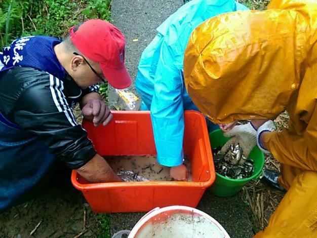 圖6. 公園維護日常-外來種魚類清除作業