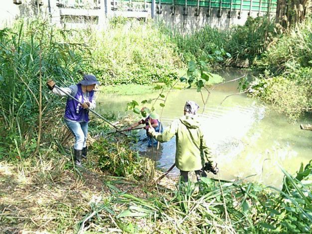 圖5. 公園維護日常-外來種植物清除作業