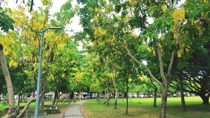 圖三美崙公園花海廊道
