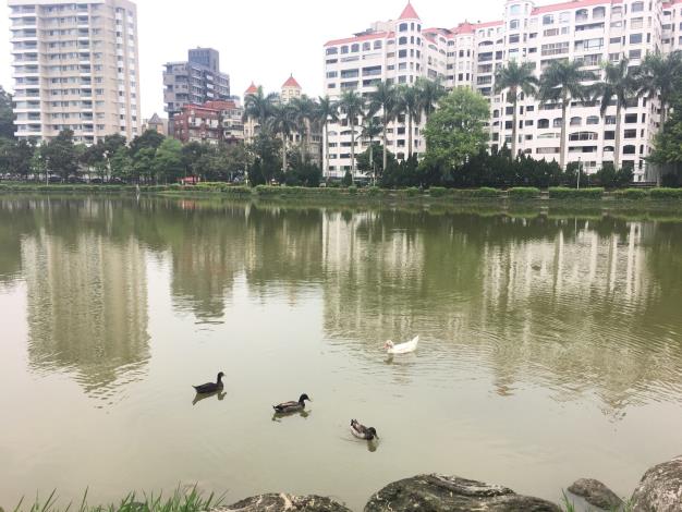 圖1.碧湖照片