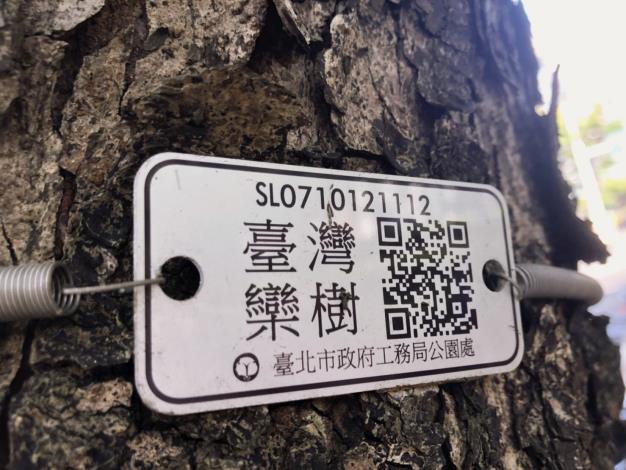 圖四、臺灣欒樹專屬名牌