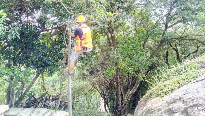 登山步道維修路燈