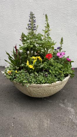 圖5大飛燕草、毛地黃、彩色海芋、白頭翁、陸蓮花、香堇大集錦。