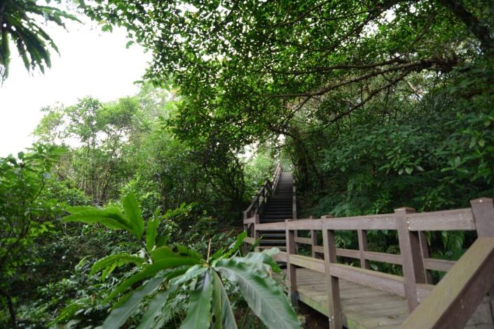 (圖3)前身是軍事彈藥庫的富陽自然生態公園保留了珍貴的原始生態環境