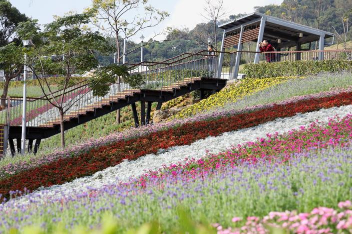 圖四、繽紛花草交織而成巨大花毯.JPG