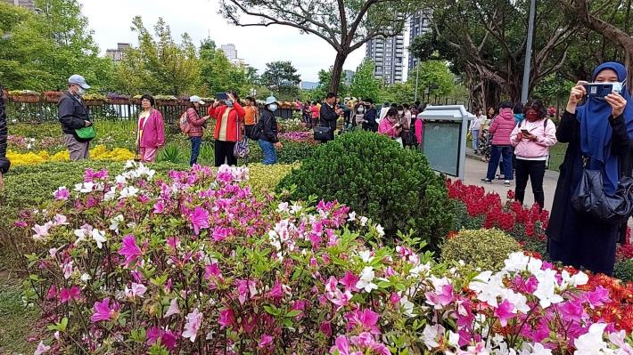 台北杜鵑花季人潮