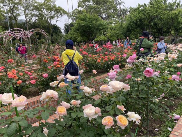 圖2.士林官邸滿園玫瑰邀您來感受浪漫