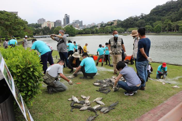 志工協助解下魚隻並進行分類