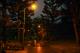 大安森林公園-螢火蟲燈