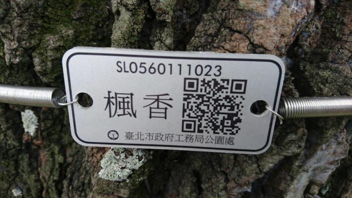 照片3.行道樹QRcode