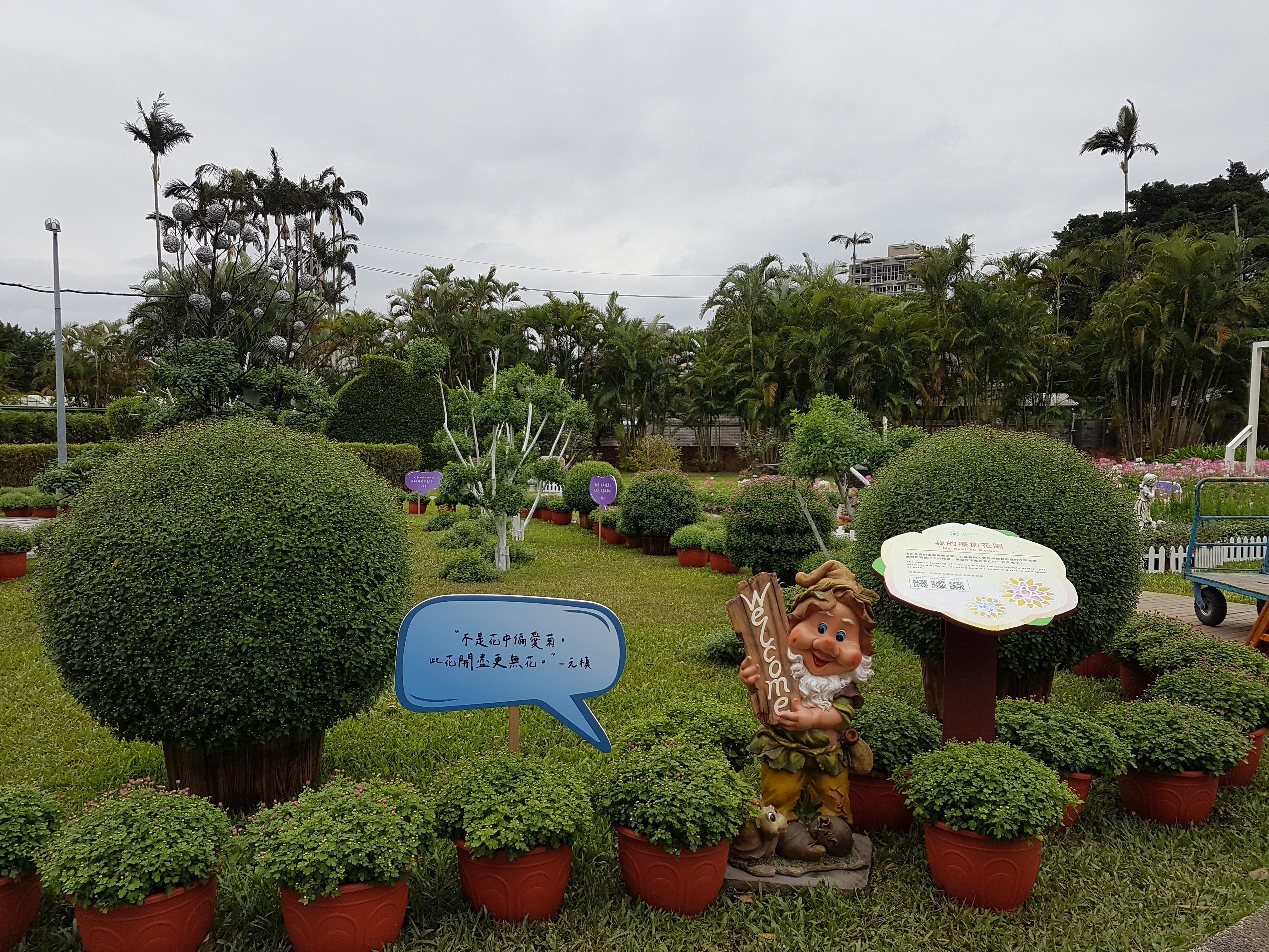 臺北市政府工務局 新聞發佈 菊展專屬療癒花園花之隱者傳遞幸福