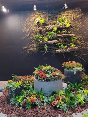 「長壽花」是多肉植物，可用扦插及播種繁殖，亦是近年來發展非常快的盆花。陳坤燦拍攝