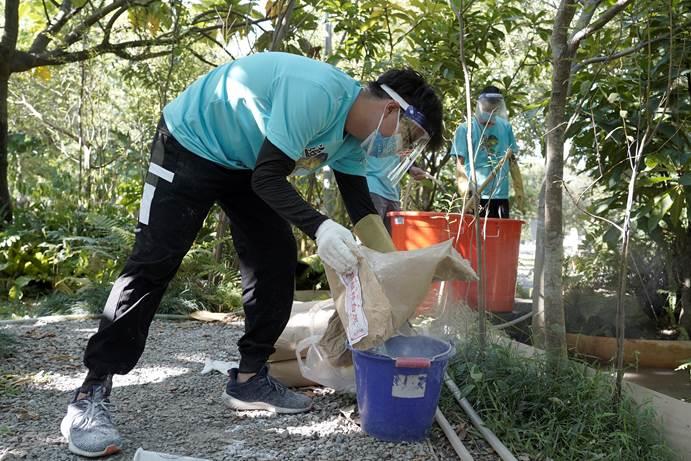 圖四、 移除大理石紋螯蝦前置作業1