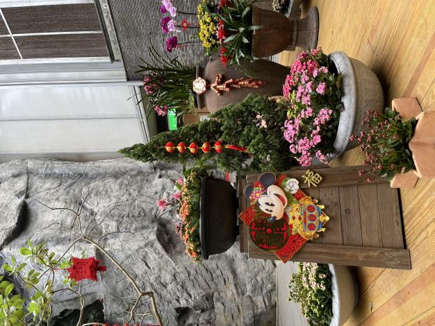 圖1臺北典藏植物園從農曆年就展示各式蘭花與應景的季節花卉，將園區妝點出濃厚的新年氣氛。