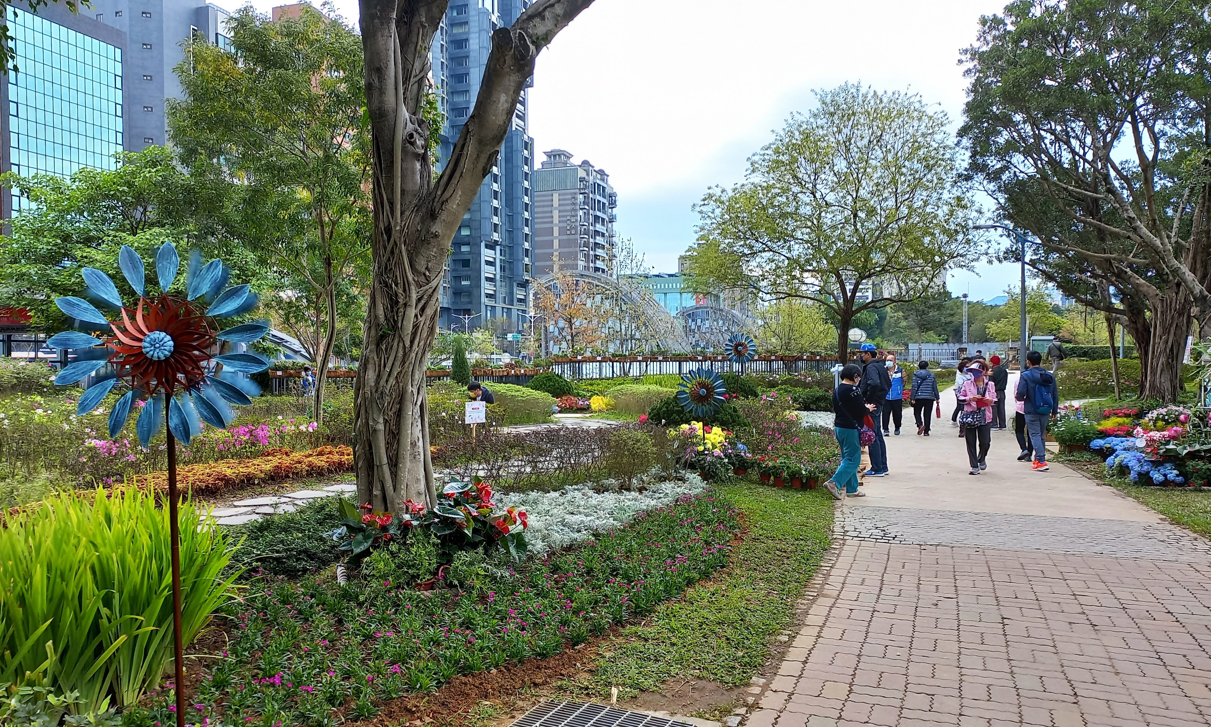 圖4.遞送幸福的風車
