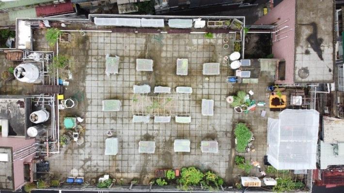 圖1 錦安區民活動中心屋頂菜園-空拍照